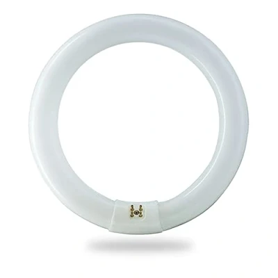 Image of BULBMASTER FC8T9/CW 22 Watt 8 Inch Round T9 Fluorescent Circular Light Bulb, Cool White 4100K, 1120 Lumens G10Q 4 Pin Base 22W Circline Ceiling Lights