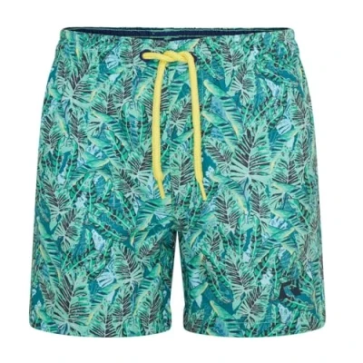 Image of RIPT Kids Leaf Swim Shorts Green Print 7 8 Years