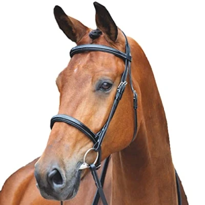 Image of Shires Salisbury Fairford Snaffle Bridle (Small Pony, Black)
