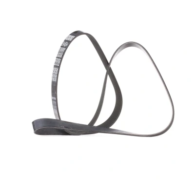 Image of Dayco 6PK1555 Poly Rib Belt