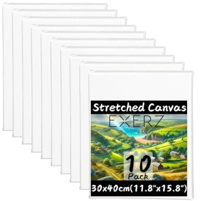 Image of Exerz 30x40cm Pre Stretched Canvas 10pk 1.7cm Framed Artist Blank/ A3 280GSM 100% Cotton/Triple Primed/Acid Free/Medium Grain Acrylic &amp; Oil