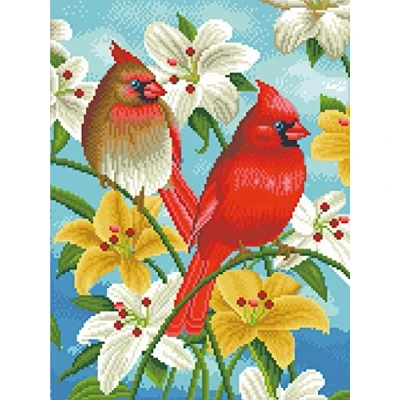 Image of OWN4B Cross Stitch Kits Stamped, Birds and Flowers Printed Pattern 11CT 14.2x18.1 inch DIY Embroidery Kit (Birds)