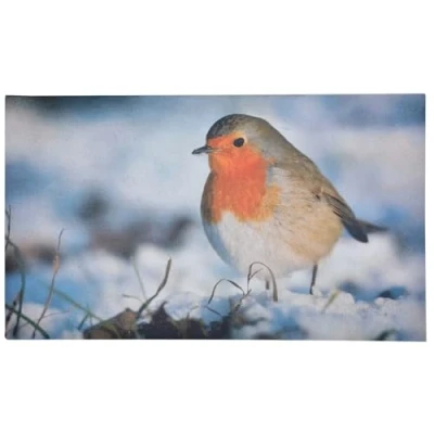 Image of Robin Printed Welcome Doormat Easy Clean Anti Slip Mat (73cm x 41cm)