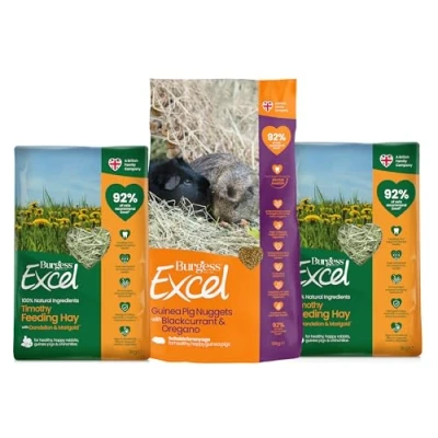 Image of Burgess Excel 3KG Guinea Pig Food &amp; 2KG Feeding Hay Bundle Blackcurrant Oregano Nuggets and Dandelion Marigold for Pigs Dust Extracted Pellets