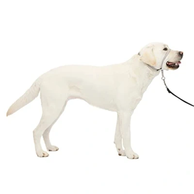 Image of PetSafe Gentle Leader No Pull Dog Headcollar The Ultimate Solution to Pulling Redirects Your Dog&#039;s for Easier Walks Helps You Regain Control Large, Silver