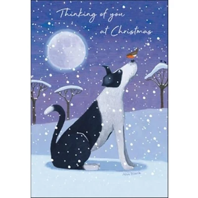 Image of Woodmansterne Thinking of You Christmas Card Dog and Robin Friends Eco Friendly Recyclable