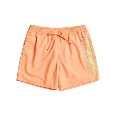 Image of Quiksilver Everyday 14&quot; Swim Shorts for Boys 8 16