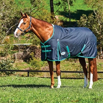 Image of Weatherbeeta Comfitec Classic Medium Standard Neck Rug Black Green Breathable Waterproof Sprayproof