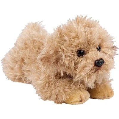 Image of Suki Gifts 12149 Labradoodle Dog Lying Down Multi Coloured