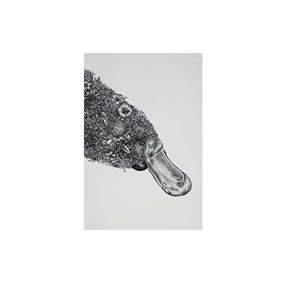 Image of Maxwell &amp; Williams Marini Ferlazzo Tea Towel with Platypus Design, 100% Indian Cotton, White, 50 x 70 cm