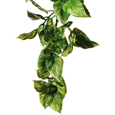 Image of Exo Terra Plastic Amapallo Plant, Large