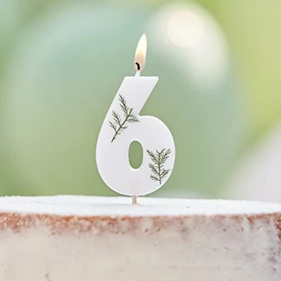 Image of Ginger Ray Birthday Cake Candle Decoration Foliage Floral Eco Number 6