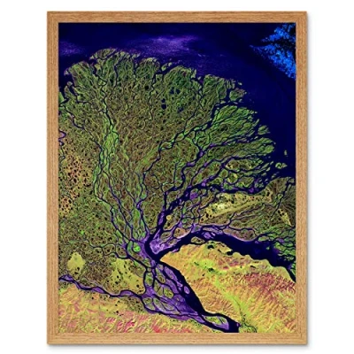 Image of Landsat Satellite Lena River Delta Photo Art Print Framed Poster Wall Decor 12x16 inch