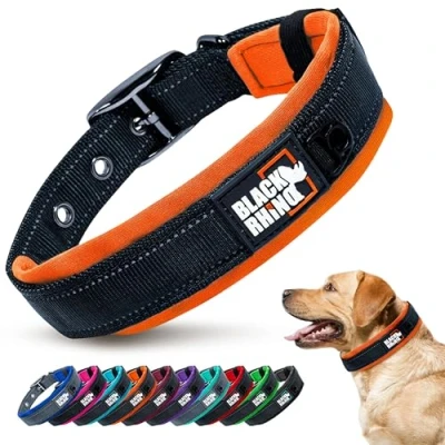 Image of Black Rhino Dog Collar Heavy Duty Adjustable and Reflective Waterproof Collars Soft Neoprene Padded Suitable for All Breeds Ideal Fit Active Dogs Medium, Orange