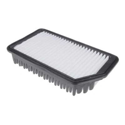 Image of Blue Print ADG022135 Air Filter, pack of one