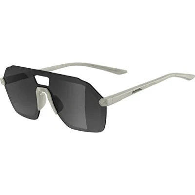 Image of ALPINA Unisex Adult, BEAM I sunglasses, cool grey matt, One Size