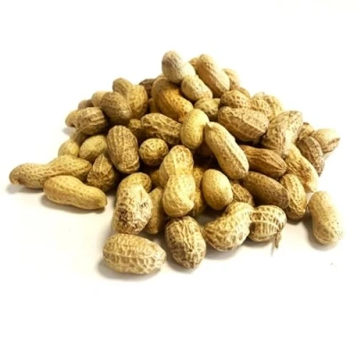 Image of Peanuts in Shells 5kg Premium Safe Wild Bird Food Monkey Nuts Afflotoxin Free