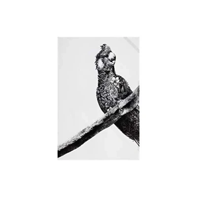 Image of Maxwell &amp; Williams Marini Ferlazzo Tea Towel with Carnaby Cockatoo Design, 100% Indian Cotton, White, 50 x 70 cm