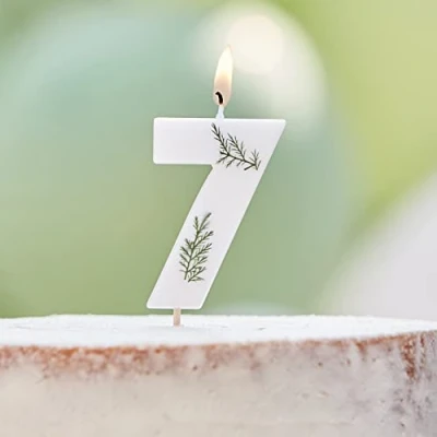 Image of Ginger Ray Birthday Cake Candle Decoration Foliage Floral Eco Number 7