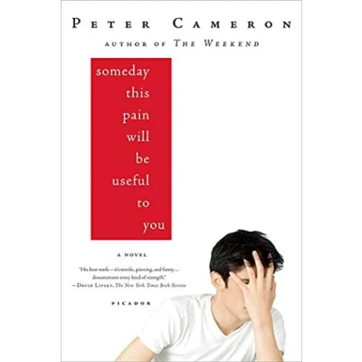 Image of Someday This Pain Will Be Useful to You