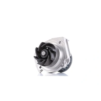 Image of 71777350 Water pump DOLZ S319 23 with belt pulley FIAT: 500 Hatchback, Panda II Grande Punto ALFA ROMEO: Giulietta Hatchback