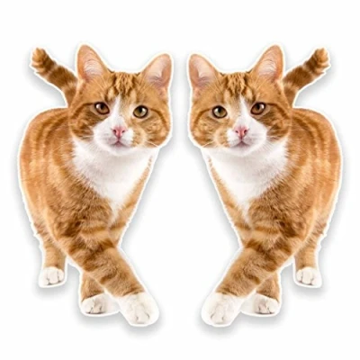 Image of 2 x 30cm/300mm Ginger Cat Vinyl SELF Adhesive Sticker Decal Laptop Car Travel Luggage Label Tag #9640
