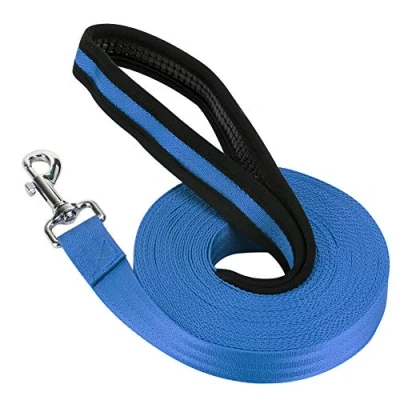 Image of Vivifying Dog Training Lead, 10m/32ft Nylon Long Line Leash for Pet Tracking Obedience Lead (Blue)