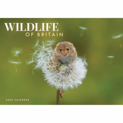 Image of Wildlife Of Britain A4 Calendar 2026