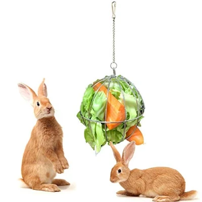 Image of Fewao Stainless Rabbits Feeding Grass Ball Sphere Treat Hay Feeder Dispenser Hanging Rabbit Chinchilla Guinea Pig Chicken Toys for Small Animals