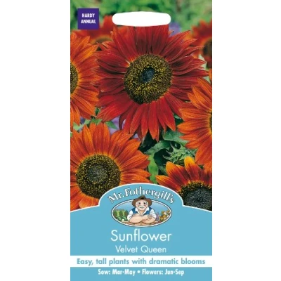 Image of Mr Fothergill&#039;s SUNFLOWER Velvet Queen Seeds
