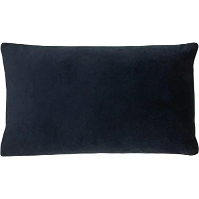 Image of Paoletti Sunningdale Velvet Rectangular Feather Filled Cushion Blue One Size