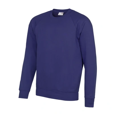 Image of AWDis Men&#039;s Academy Raglan Sweatshirt, Purple (Academy Purple), X Large