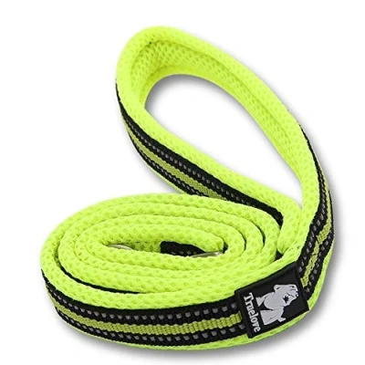Image of WINHYEPET True Love Dog Leash Nylon Reflective Comfortable Handle Lead Puppy Training Walking Rope Easy Control Suitable Small Medium Large Breeds 110cm Length TLL2111(Neon Yellow,M)