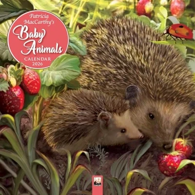 Image of Patricia MacCarthy&#039;s Beautiful Babies Calendar 2026