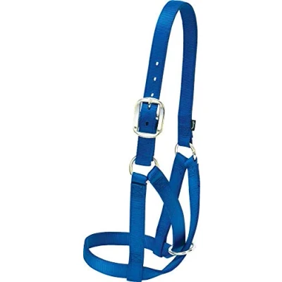 Image of Weaver Leather Livestock Cow Barn Halter Blue, Small