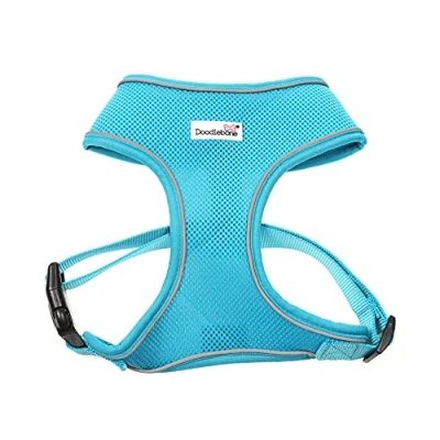 Image of Doodlebone Airmesh Harness, Aqua, 1