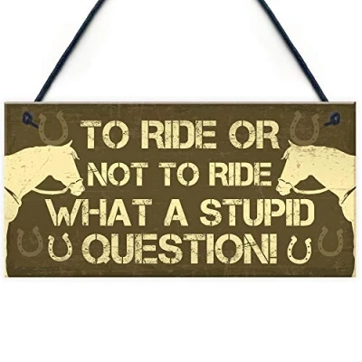 Image of RED OCEAN Horse Stable Signs And Plaques Funny Gift Accessories For Lovers Girls Bedroom Novelty Animal Sign