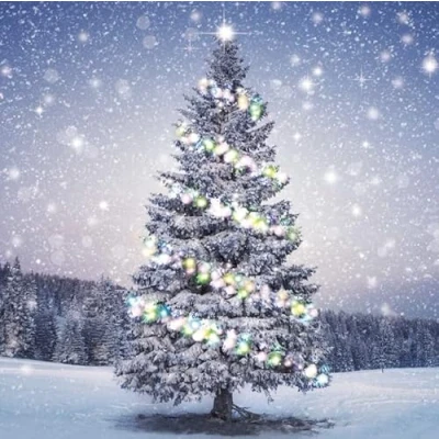 Image of Charity Christmas Cards Festive Tree in The Snow Eco Friendly and Recyclable Pack of 10 By Great British Card Company