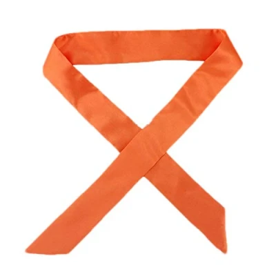 Image of B HOT 2Pcs Faux Silk Scarves Womens,Neck Head Scarf Fashion Bag Handbag Handle Ribbon Band Hair Orange