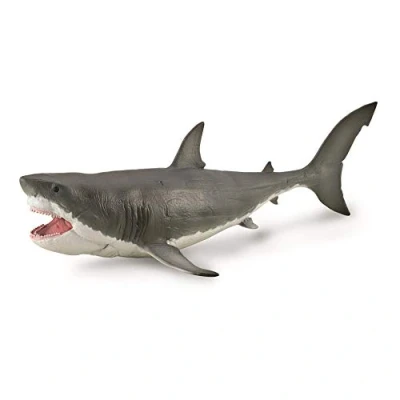 Image of CollectA, Megalodon with Movable Jaw (Deluxe 1: 40 Scale), Collectable Dinosaur Figure