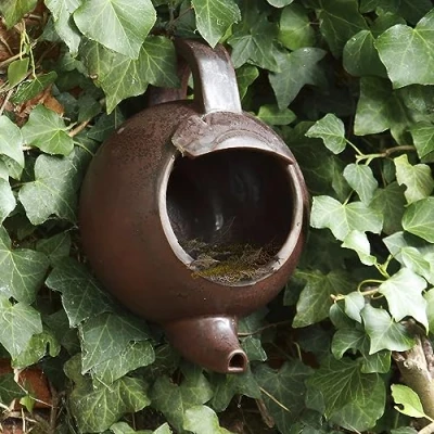 Image of Aggloz Wild Bird Multi Purpose Nesting Box Can Be Either Open Fronted or A Traditional Tea Pot Nester Suitable For Many Different Species of Garden Birds