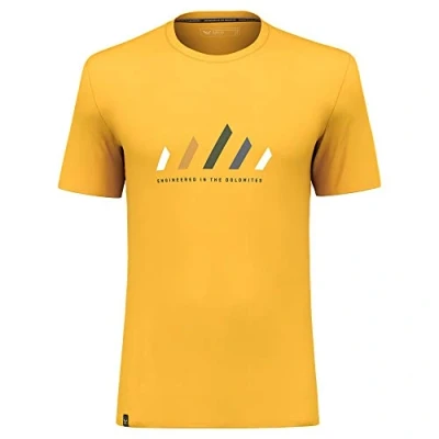Image of Salewa Pure Stripes Dry T Shirt M Gold