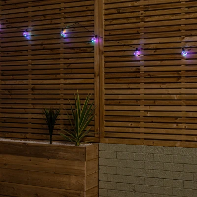 Image of Set of 20 Indoor Outdoor Connectable Firefly Festoon Lights with Multi Coloured LEDs