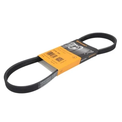 Image of 96155378 V ribbed belt CONTITECH 5PK800 800mm 5