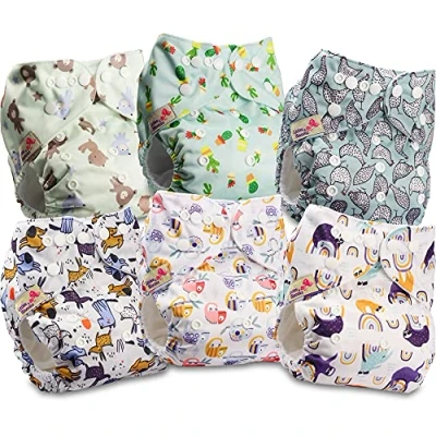 Image of Littles and Bloomz Baby Reusable Pocket Nappy Cloth Diaper, Standard Popper, 6 Nappies, FLP2 0603