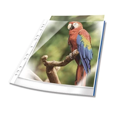 Image of Durable Premium A4 Punched Pocket with Coloured Edge Blue Crystal Clear and Made from PP Pack of 100 Perfect for Protecting Important Documents