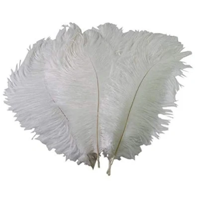Image of 5 x 9 12&quot; White Ostrich Feathers