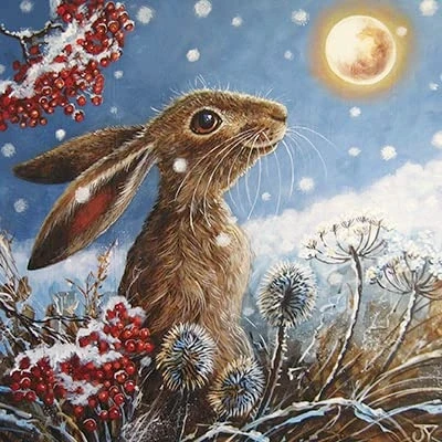 Image of GBCC The Almanac Gallery Pack of 6 Artistic Charity Christmas Cards &#039;Happy Festive Hare&#039; Moon Gazing at Night From Great British Card, multi, 141 x mm