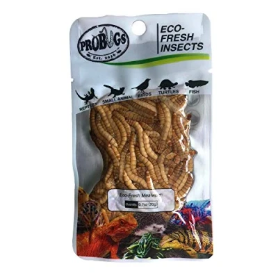 Image of ProBugs Eco Fresh Insects Mealworms 20g