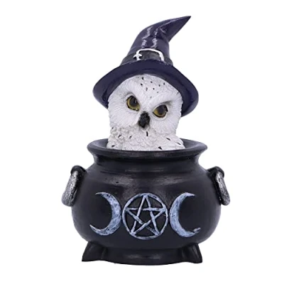 Image of Nemesis Now Owl&#039;s Brew 10cm, Black